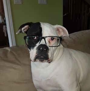 Meet your Posher, Mark